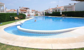 AP322 - Mirlo, Nerja